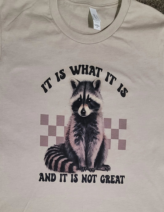 It Is What It Is - Racoon