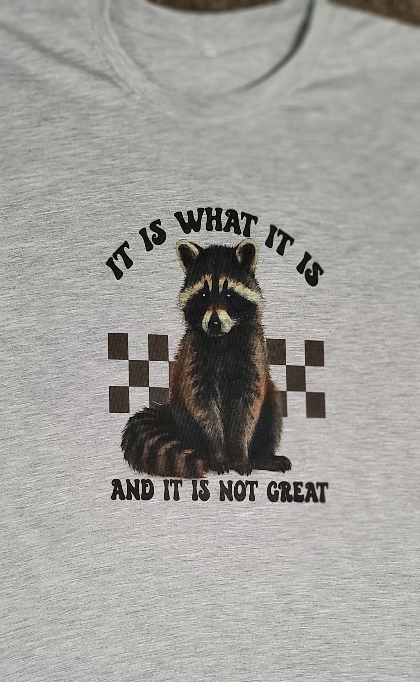 It Is What It Is - Racoon